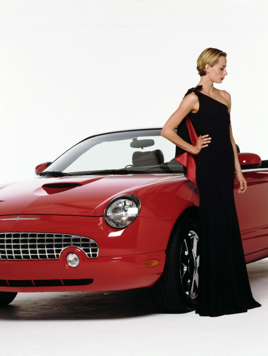  Ford Thunderbird 2002 года  (фото 33 из 161)